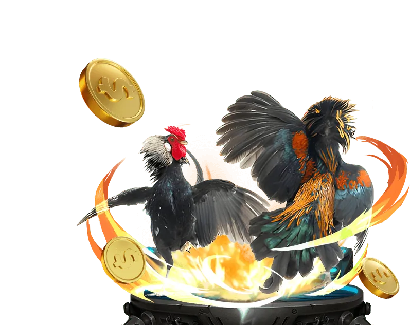 Đấu trường đá gà trực tuyến w88hey